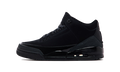 Air Jordan 3 Retro Black Cat