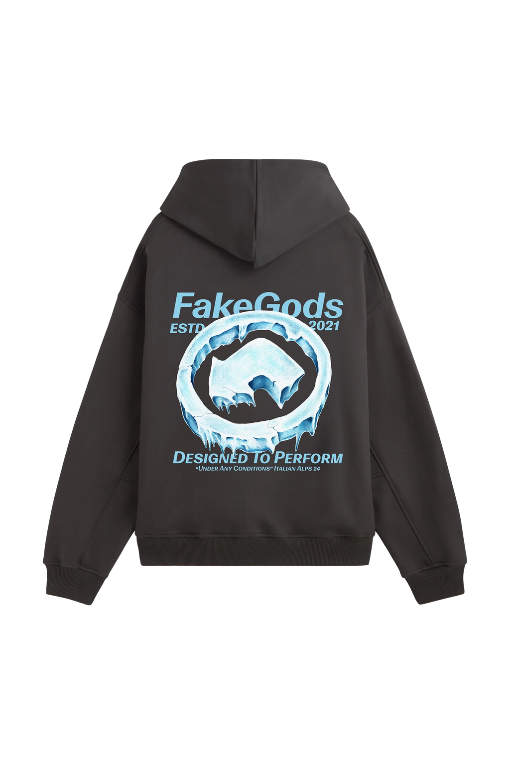Fakegods Iced Logo Hoodie Dark Grey